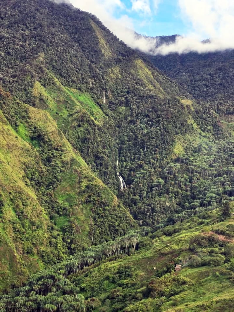 IMG-2427 (1) (1).JPG